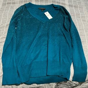 Brand new never worn blue sweater
